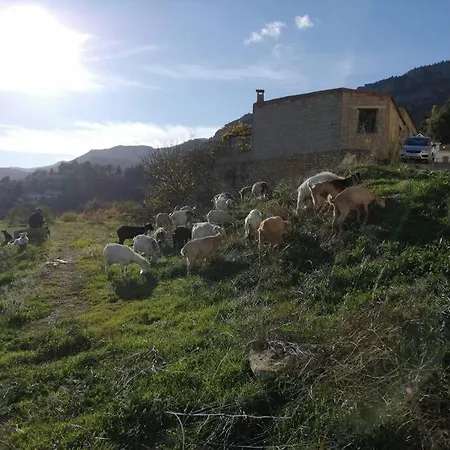 Casa Lourdes Villa Yeste Exterior photo