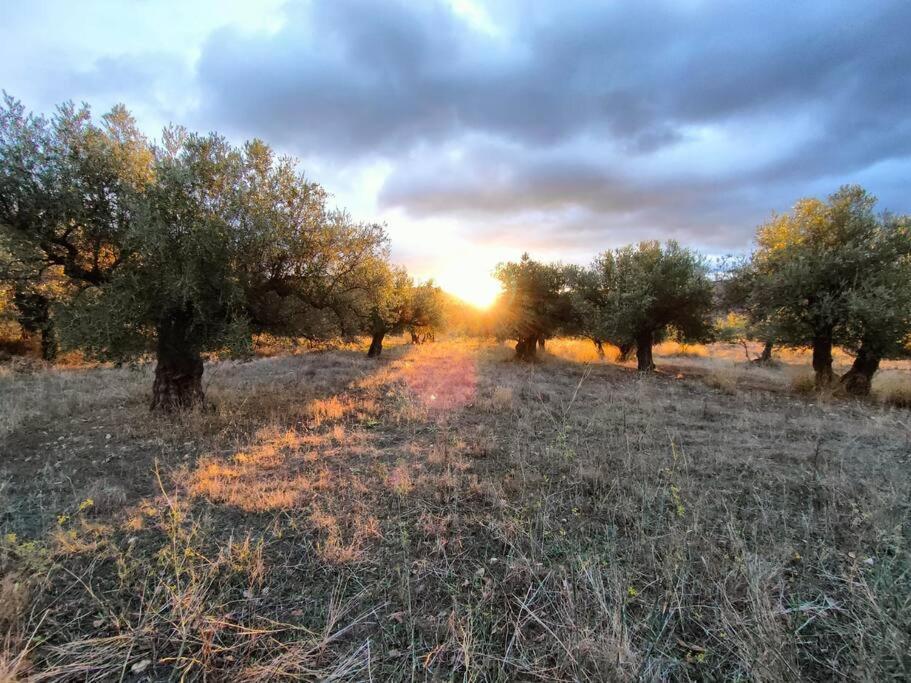 Holiday home Casa Lourdes Yeste