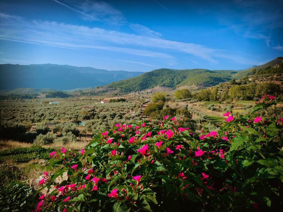 Casa Lourdes Holiday home Yeste